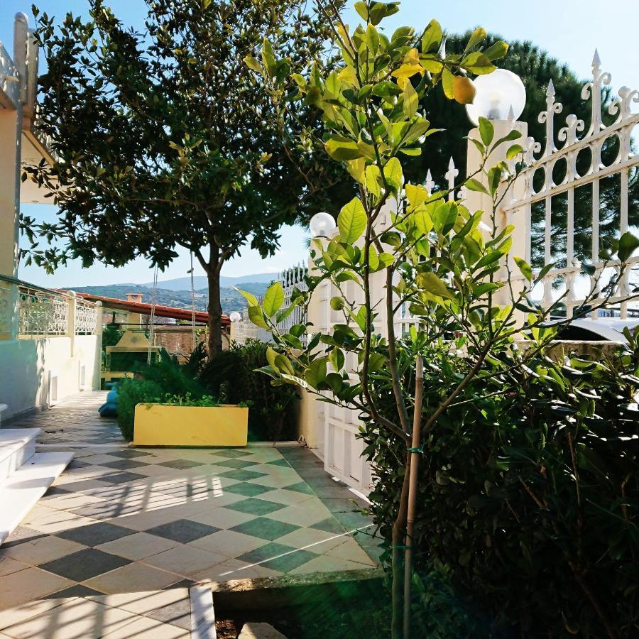 Villa Filoxenia All Seasons, Near Airport, Sea, Athens Agia Marina  Bagian luar foto