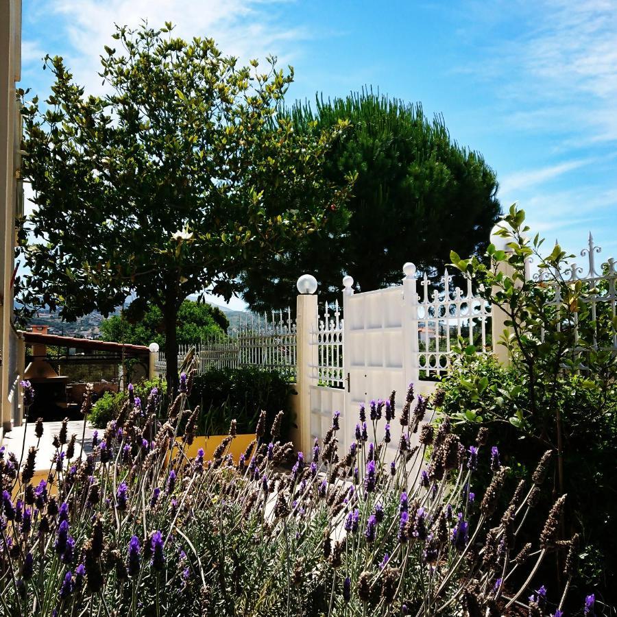 Villa Filoxenia All Seasons, Near Airport, Sea, Athens Agia Marina  Bagian luar foto