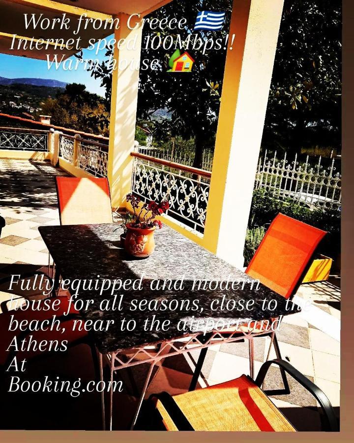 Villa Filoxenia All Seasons, Near Airport, Sea, Athens Agia Marina  Bagian luar foto