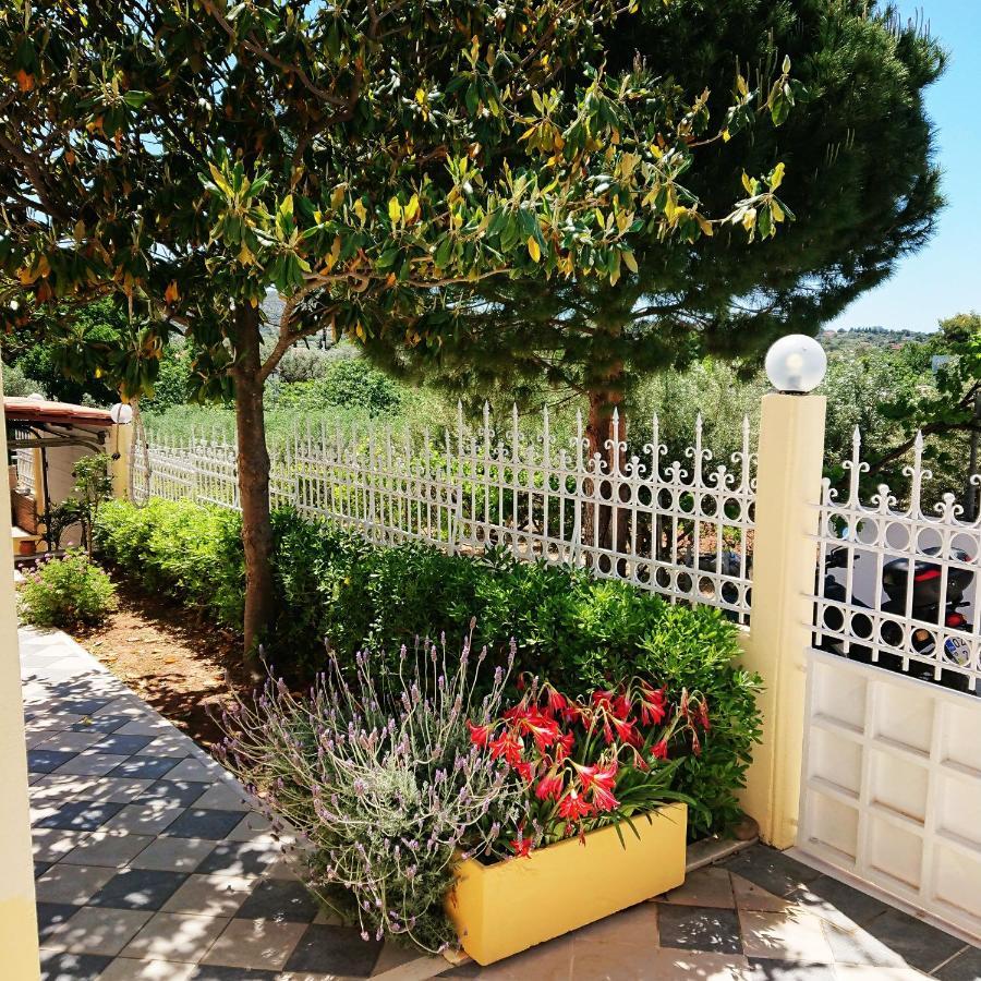 Villa Filoxenia All Seasons, Near Airport, Sea, Athens Agia Marina  Bagian luar foto