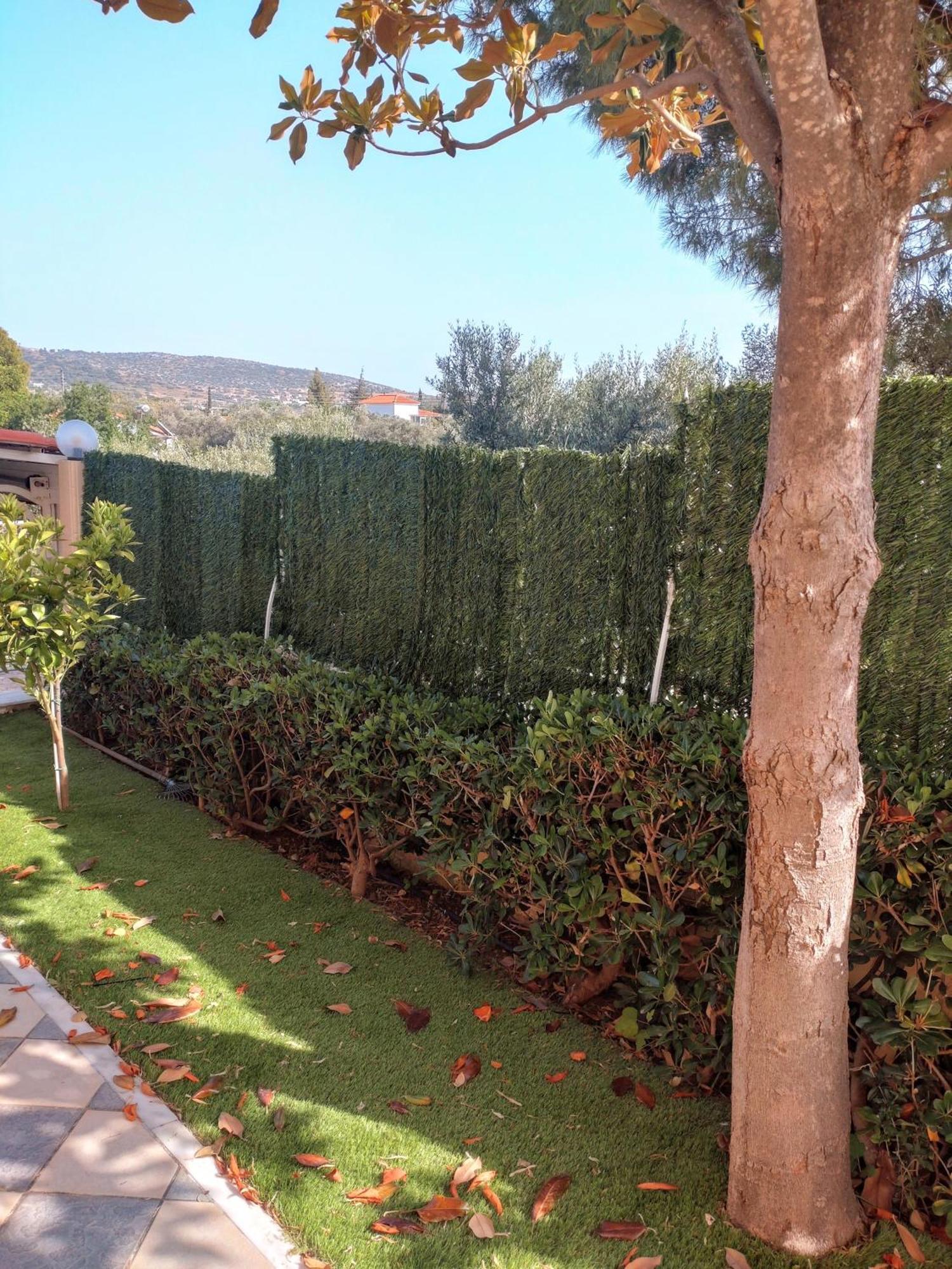 Villa Filoxenia All Seasons, Near Airport, Sea, Athens Agia Marina  Bagian luar foto