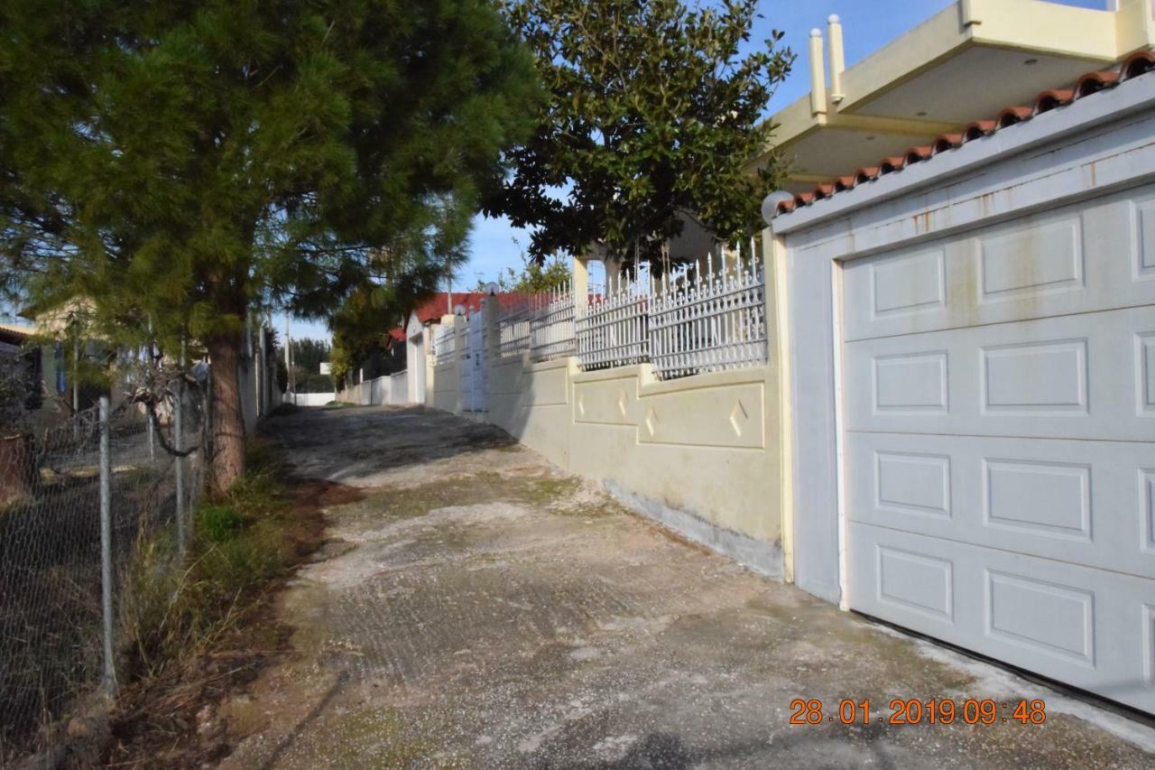 Villa Filoxenia All Seasons, Near Airport, Sea, Athens Agia Marina  Bagian luar foto