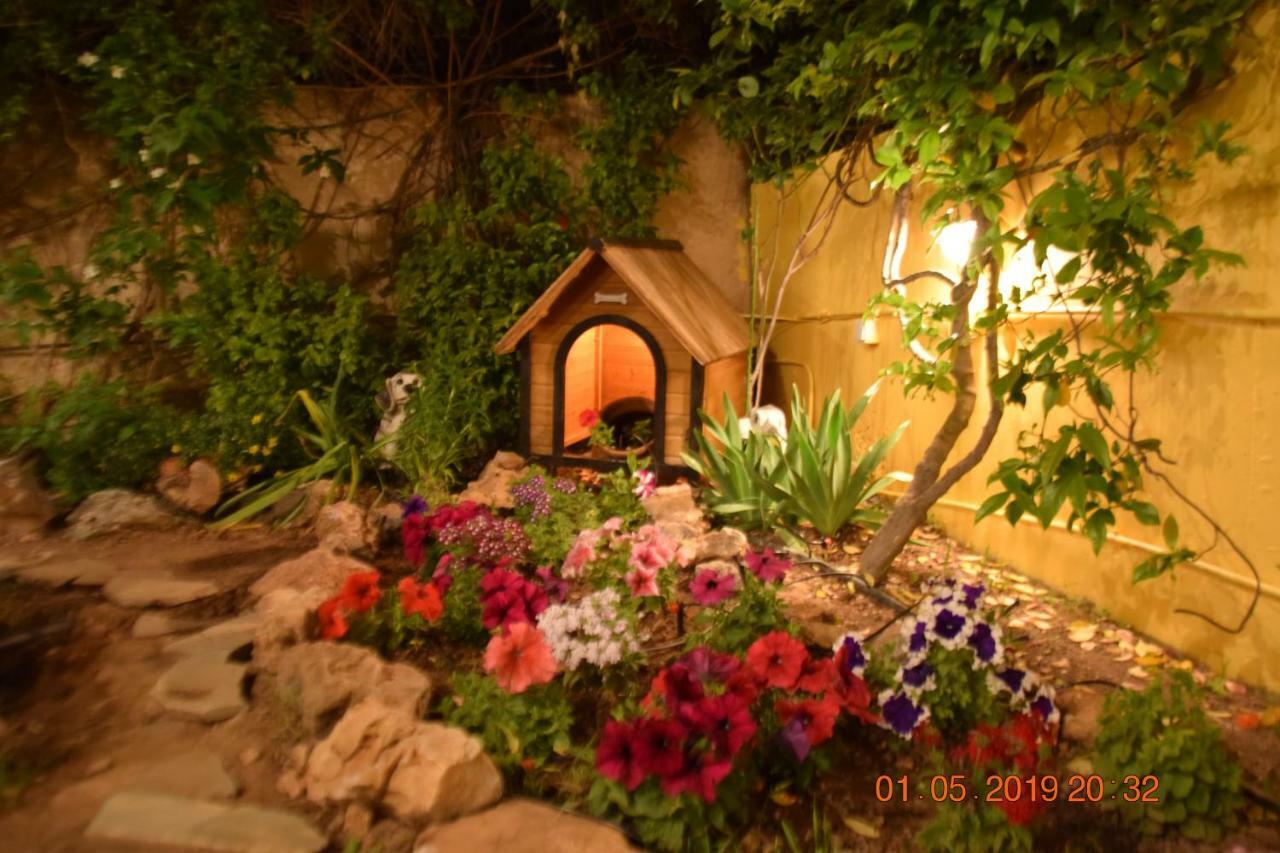Villa Filoxenia All Seasons, Near Airport, Sea, Athens Agia Marina  Bagian luar foto