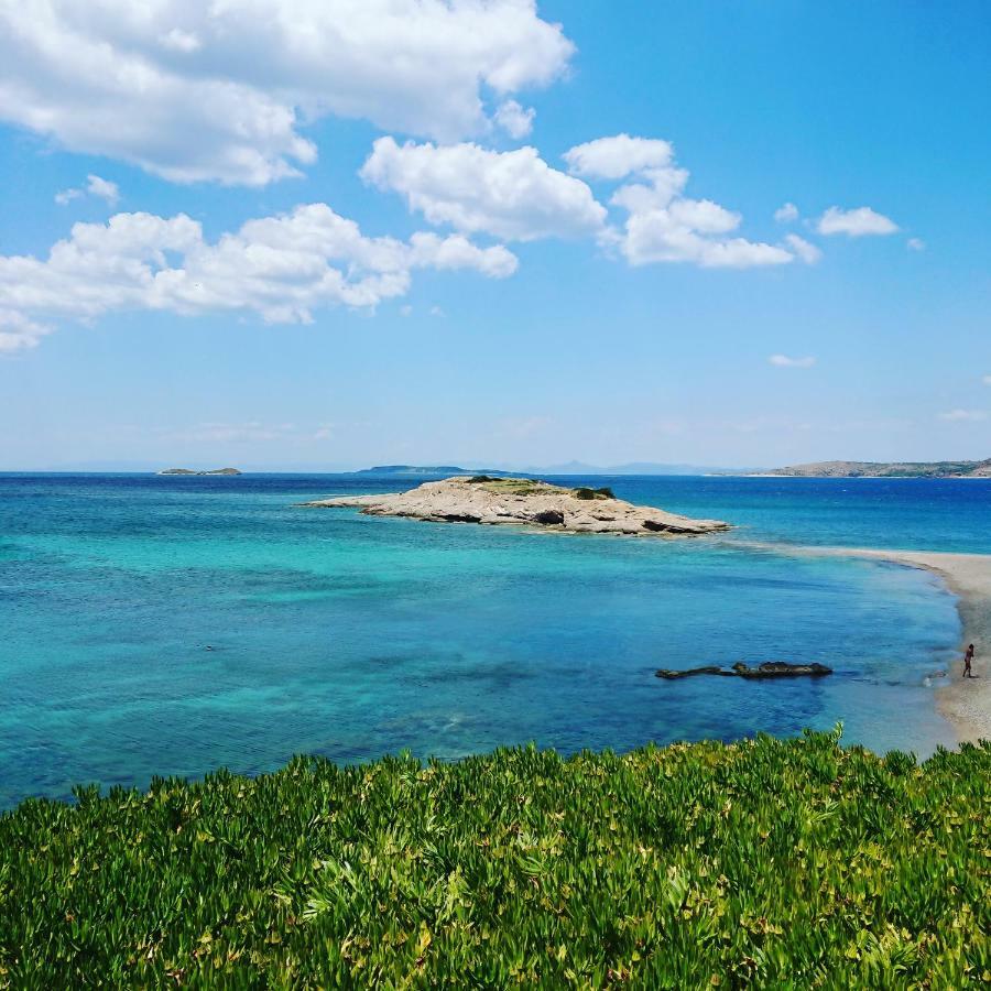 Villa Filoxenia All Seasons, Near Airport, Sea, Athens Agia Marina  Bagian luar foto